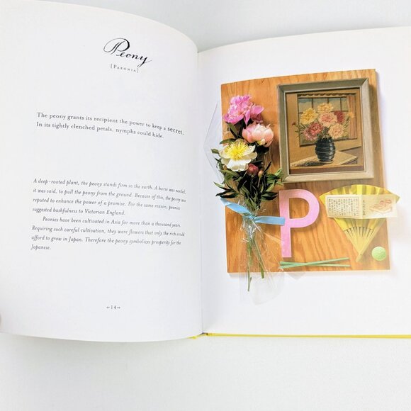 The Meaning of Flowers bright yellow book with Victorian floral illustrations - Picture 10 of 16